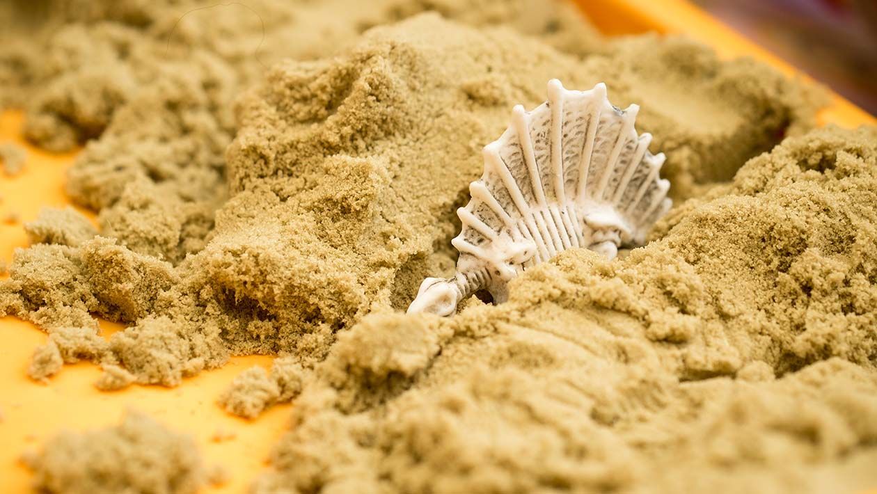 Dinosaur bones partially buried in sand
